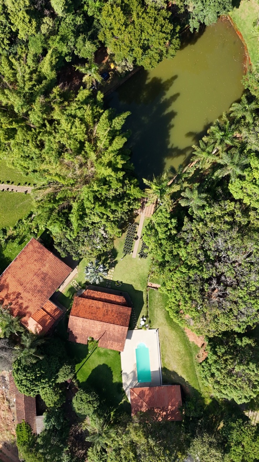 Sítio Zezé Lília - foto 16